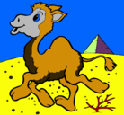 Dibujo Camello pintado por patoperezlabra