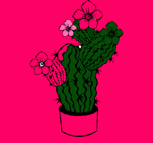 Flores de cactus