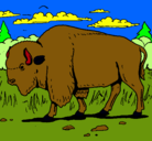 Dibujo Búfalo  pintado por brayalo