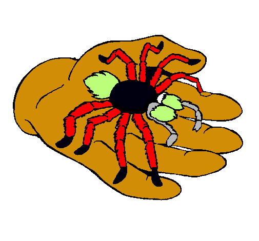 Tarántula