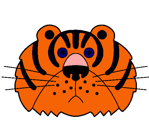 Tigre III