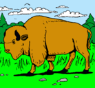 Dibujo Búfalo  pintado por yak