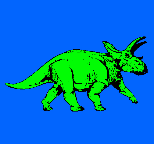 Triceratops