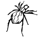 Dibujo Araña viuda negra pintado por REXI
