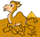 Dibujo Camello pintado por vanessanoemipalazzo