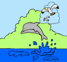 Dibujo Delfín y gaviota pintado por bbbbbbbbbb