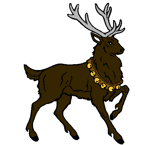 Venado