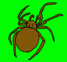 Dibujo Araña venenosa pintado por ALVARO
