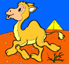 Dibujo Camello pintado por SAMUEL