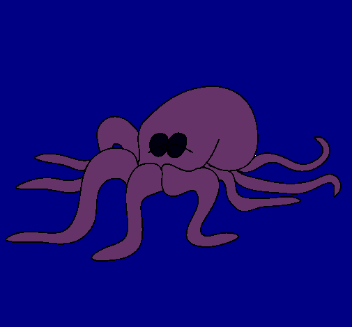 Pulpo