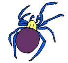 Dibujo Araña venenosa pintado por sergi