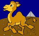 Dibujo Camello pintado por NUBYA