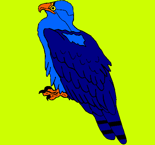 Águila