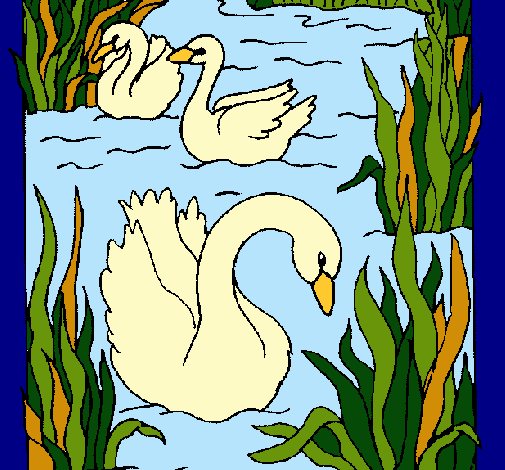 Cisnes