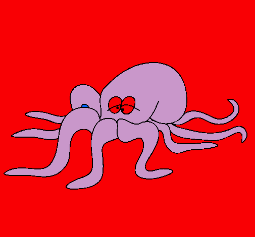 Pulpo