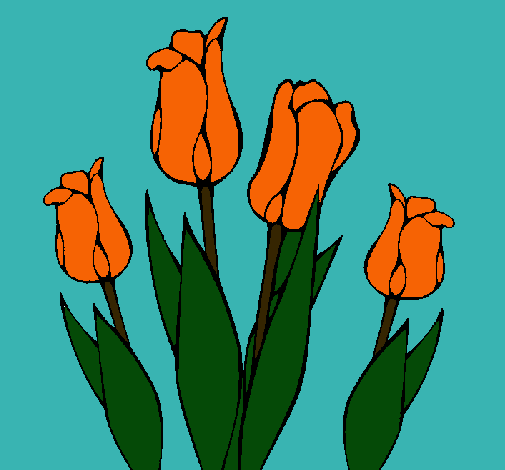 Tulipanes