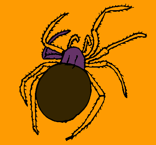 Araña venenosa