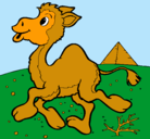 Dibujo Camello pintado por allisonEscoto