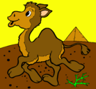 Dibujo Camello pintado por christian