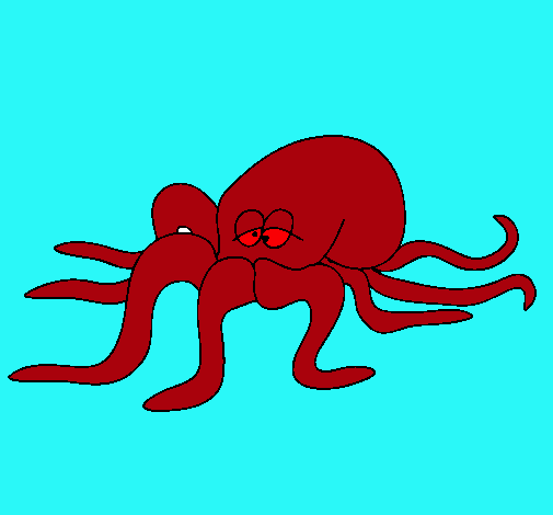 Pulpo