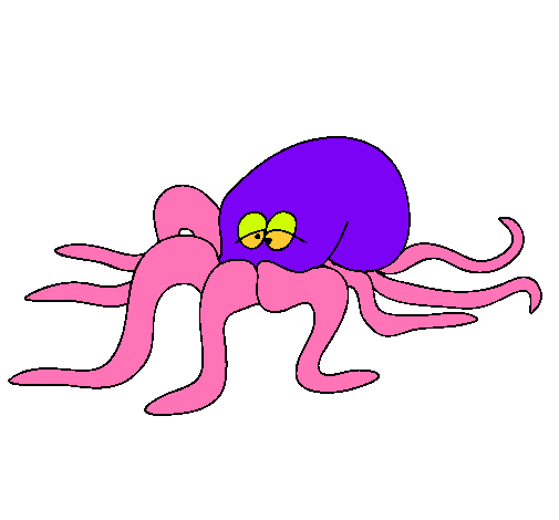 Pulpo