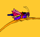 Dibujo Saltamontes en una rama pintado por anamaria