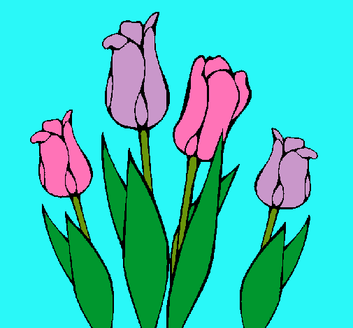 Tulipanes