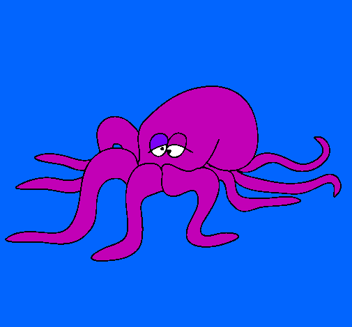 Pulpo