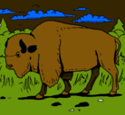 Dibujo Búfalo  pintado por alex