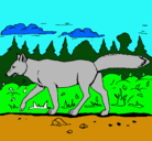 Dibujo Coyote pintado por Amarilis