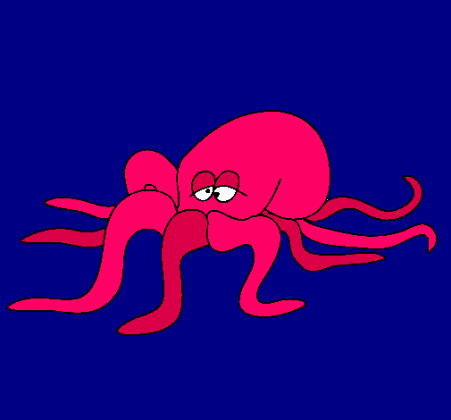 Pulpo