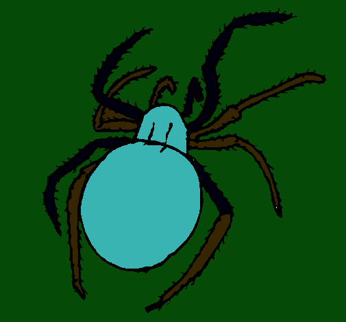 Araña venenosa