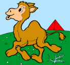 Dibujo Camello pintado por JuanManuel