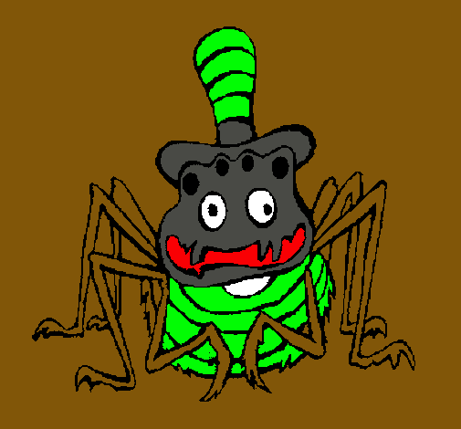 Araña con sombrero