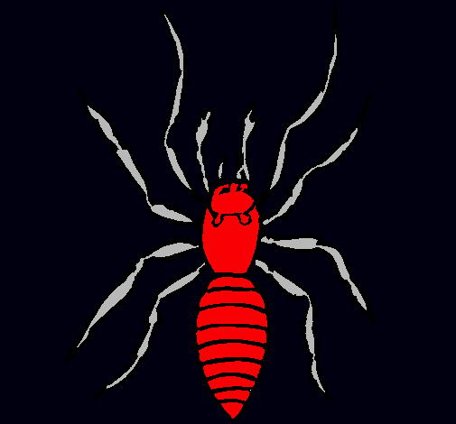 Araña tigre