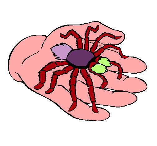 Tarántula