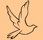Dibujo Paloma de la paz al vuelo pintado por kmo