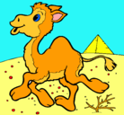 Dibujo Camello pintado por CHRISTOPHER