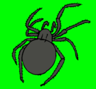 Dibujo Araña venenosa pintado por LAZARO
