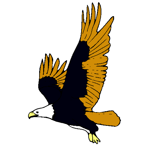 Águila volando