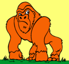 Dibujo Gorila pintado por orangutan2