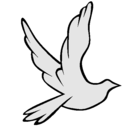 Dibujo Paloma de la paz al vuelo pintado por abraham