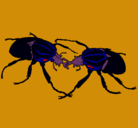 Dibujo Escarabajos pintado por alvaro