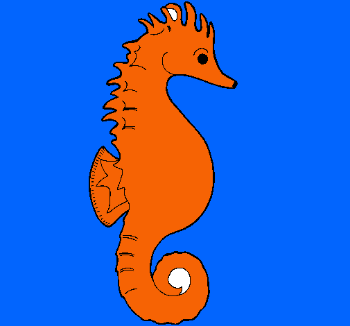 Caballito de mar