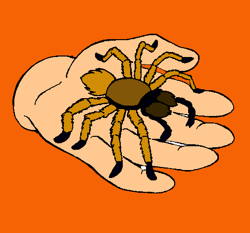 Tarántula