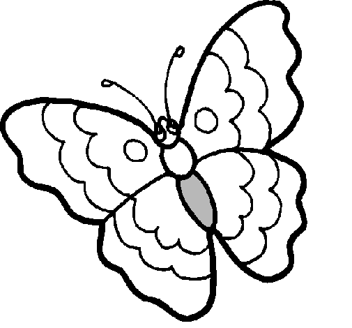 Mariposa