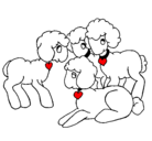 Dibujo Ovejas pintado por ovejitaslore