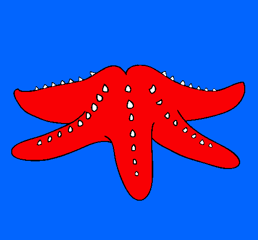 Estrella de mar