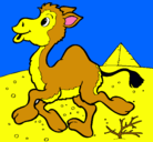 Dibujo Camello pintado por felip1