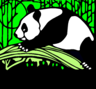 Dibujo Oso panda comiendo pintado por adrianayvictoria